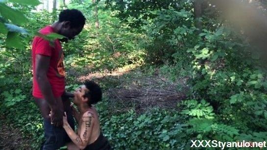 E488 - Puck And Gila - Where The Heart Is [SD]