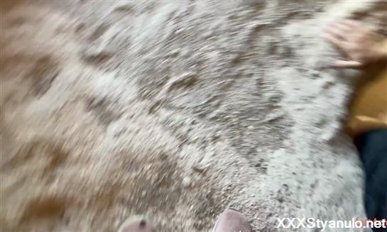 Joana, Lee The - Trip Of A Lifetime [FullHD]