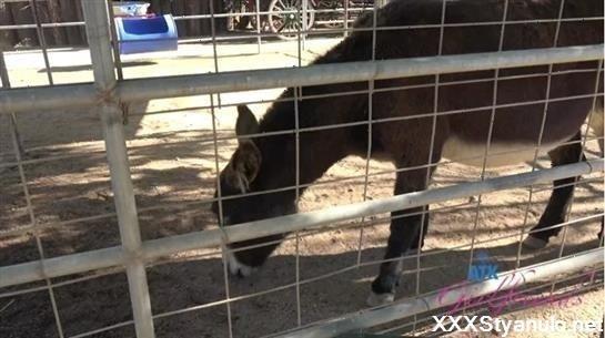 Kimmy Kimm - Farm Date 1 [SD]