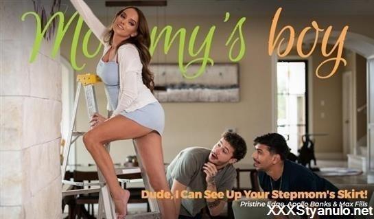 Pristine Edge - Dude, I Can See Up Your Stepmoms Skirt! [FullHD]