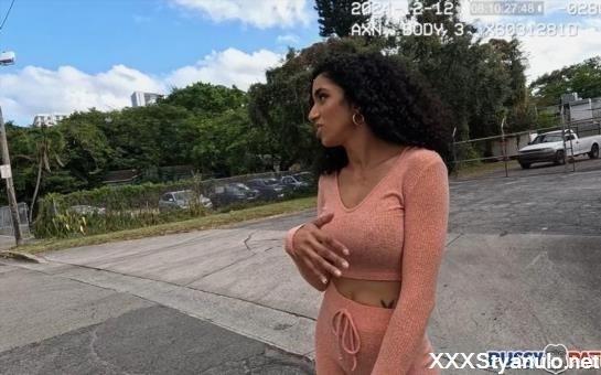 Ginger Bytes - Ok I Will Bytes [SD]