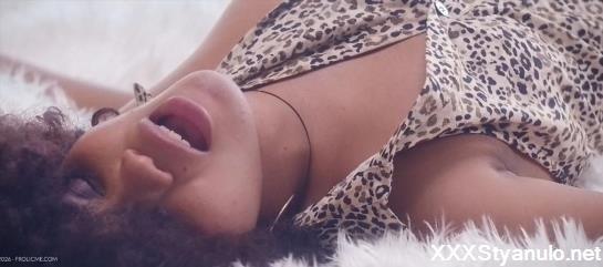 Selva La Piedra - The Gardner [HD]