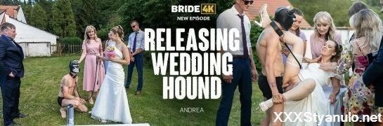 Andrea - Releasing Wedding Hound [SD]