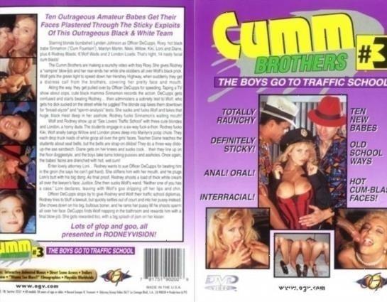 Cumm Brothers 3 The Boys Go To Traffic School [SD]